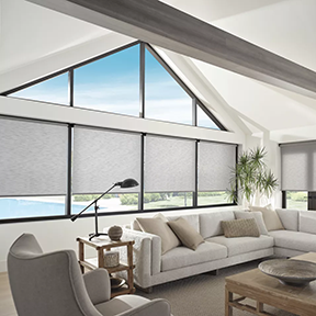 Designer Roller Shades